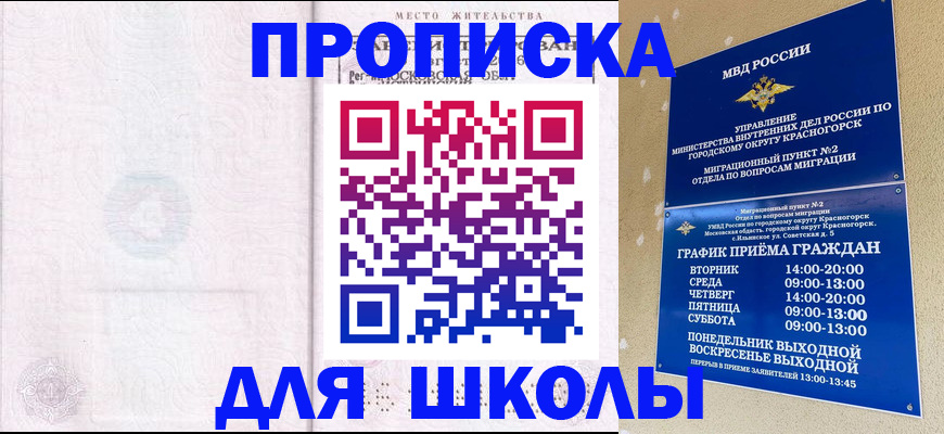 временная регистрация госуслуги в Никольском